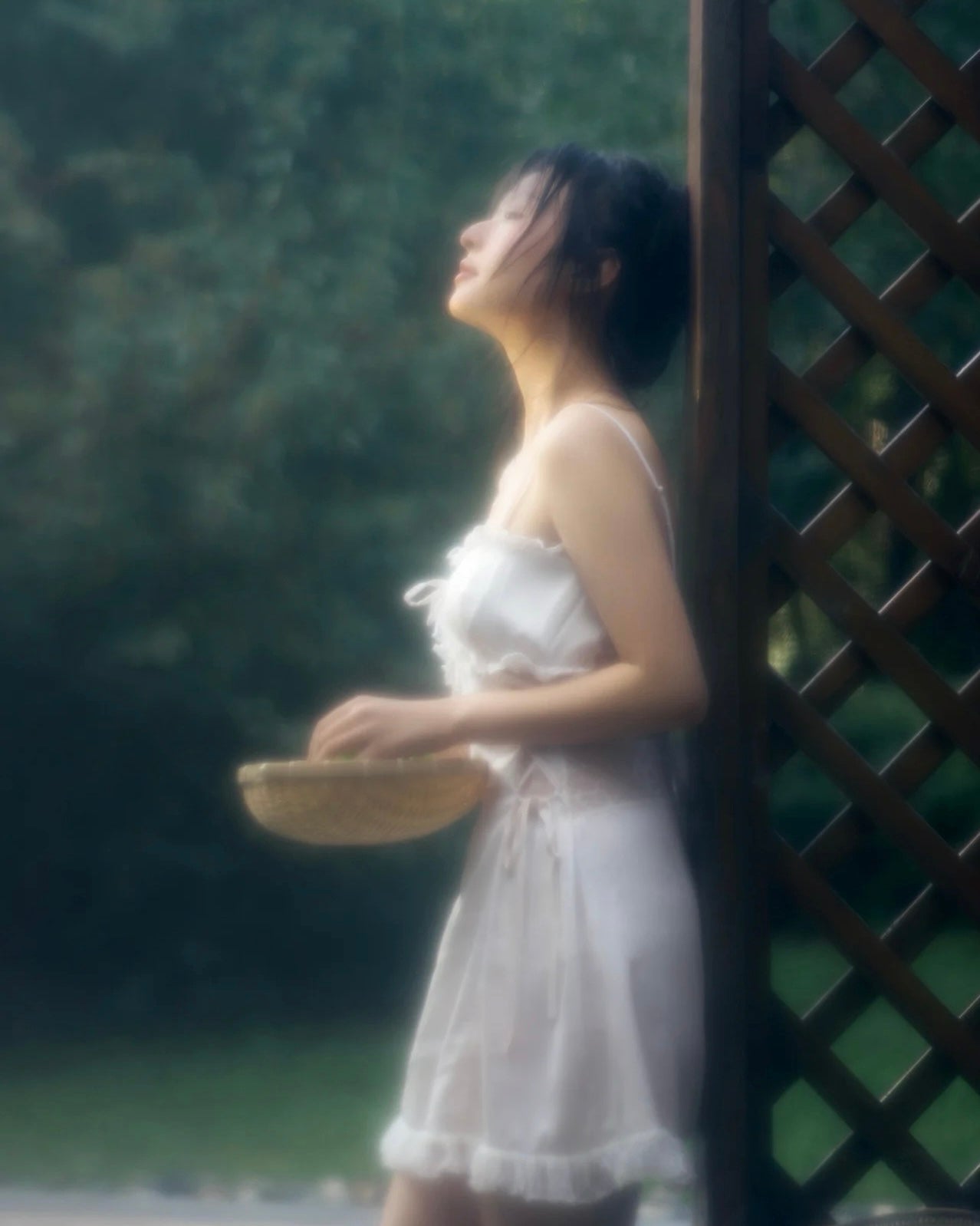 Swan Lace Nightie Ivory